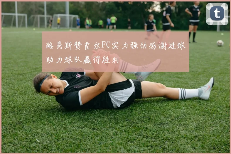 路易斯赞首尔FC实力强劲感谢进球助力球队赢得胜利