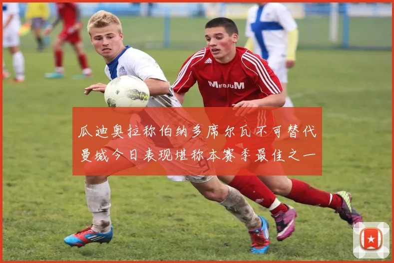 瓜迪奥拉称伯纳多席尔瓦不可替代曼城今日表现堪称本赛季最佳之一