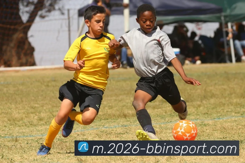 BBIN体育APP 封面图